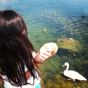 2015-09-01 rye bread ducks