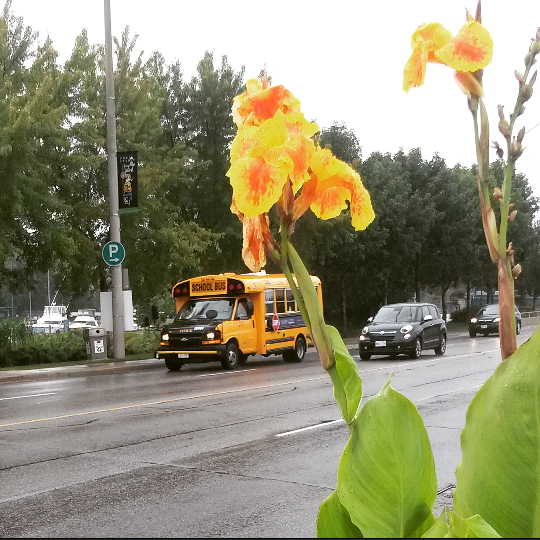 (Photo: Kelly Roche/QEW South Post/file)