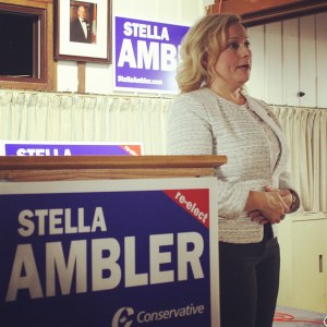 IMG_20151020_011748 (2)