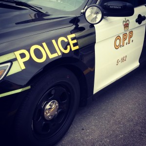 OPP cruiser 1