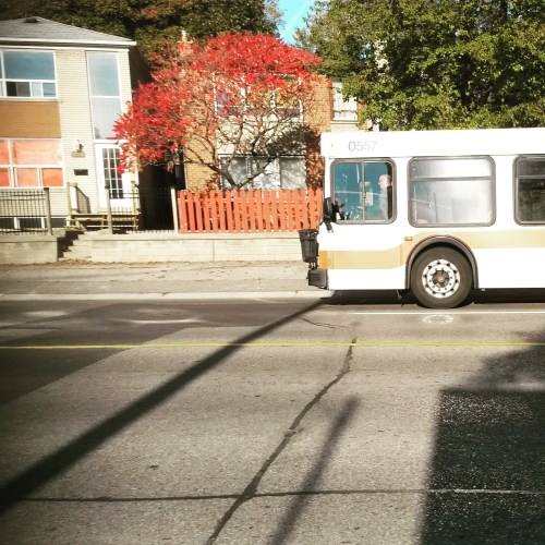 (Photo: Kelly Roche/QEW South Post/file)