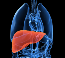 (Screenshot: liver.ca)