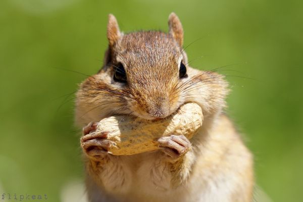 (Photo: Phyllis Keating)