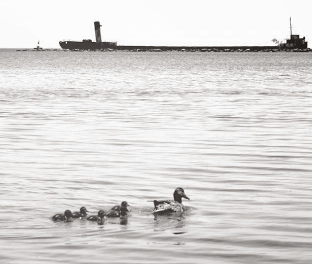 ANDREW VALENTINE 2016-06-02