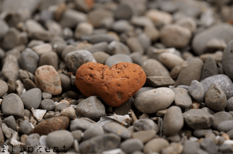 FLIPKEAT - Love is Everywhere