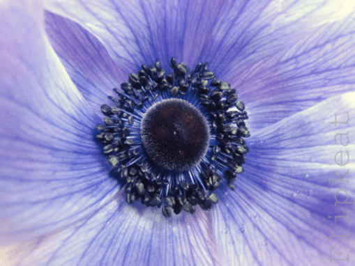 flipkeat-love-for-sale