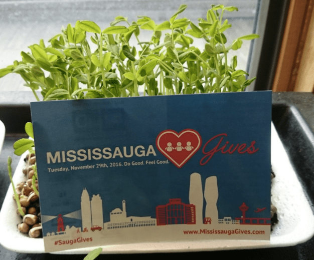 ecosource-twitter-mississaugagives-2016