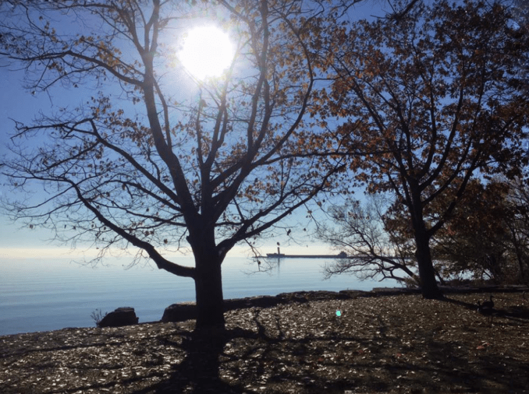 ellen-nightingale-last-day-of-summer