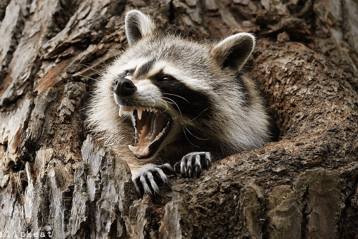 flipkeat-the-devil-inside