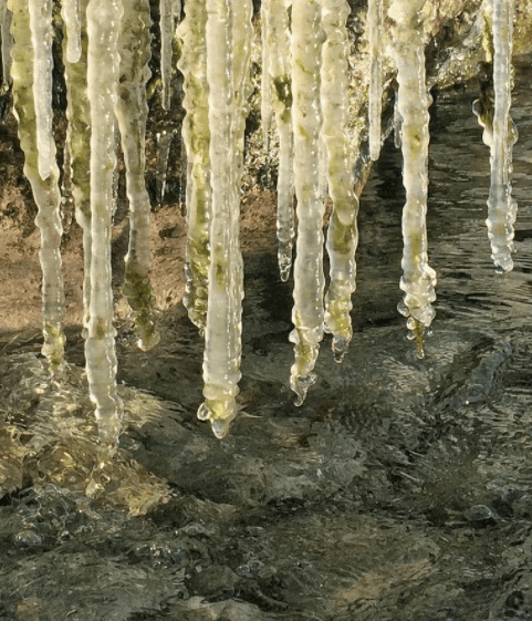 ellen-nightingale-icy-rhythm